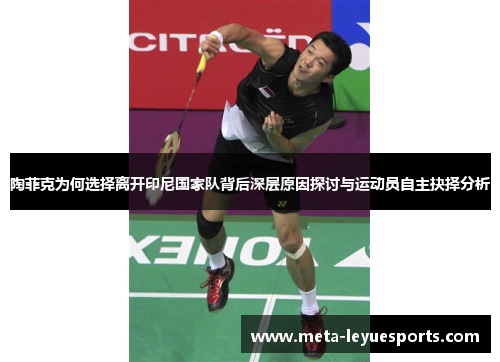 陶菲克为何选择离开印尼国家队背后深层原因探讨与运动员自主抉择分析