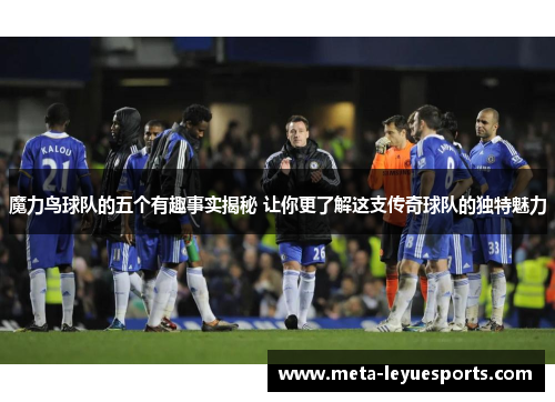 魔力鸟球队的五个有趣事实揭秘 让你更了解这支传奇球队的独特魅力