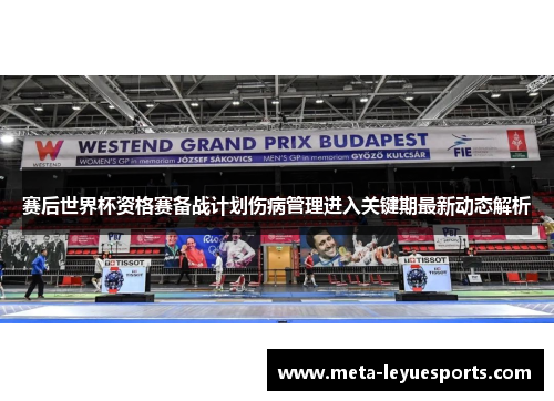 赛后世界杯资格赛备战计划伤病管理进入关键期最新动态解析