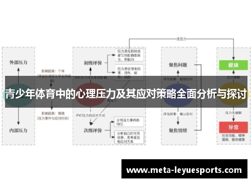 青少年体育中的心理压力及其应对策略全面分析与探讨